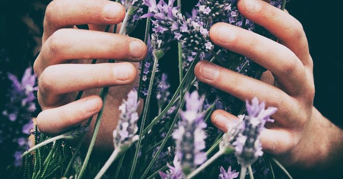 Acupuncture - Balance and Reset